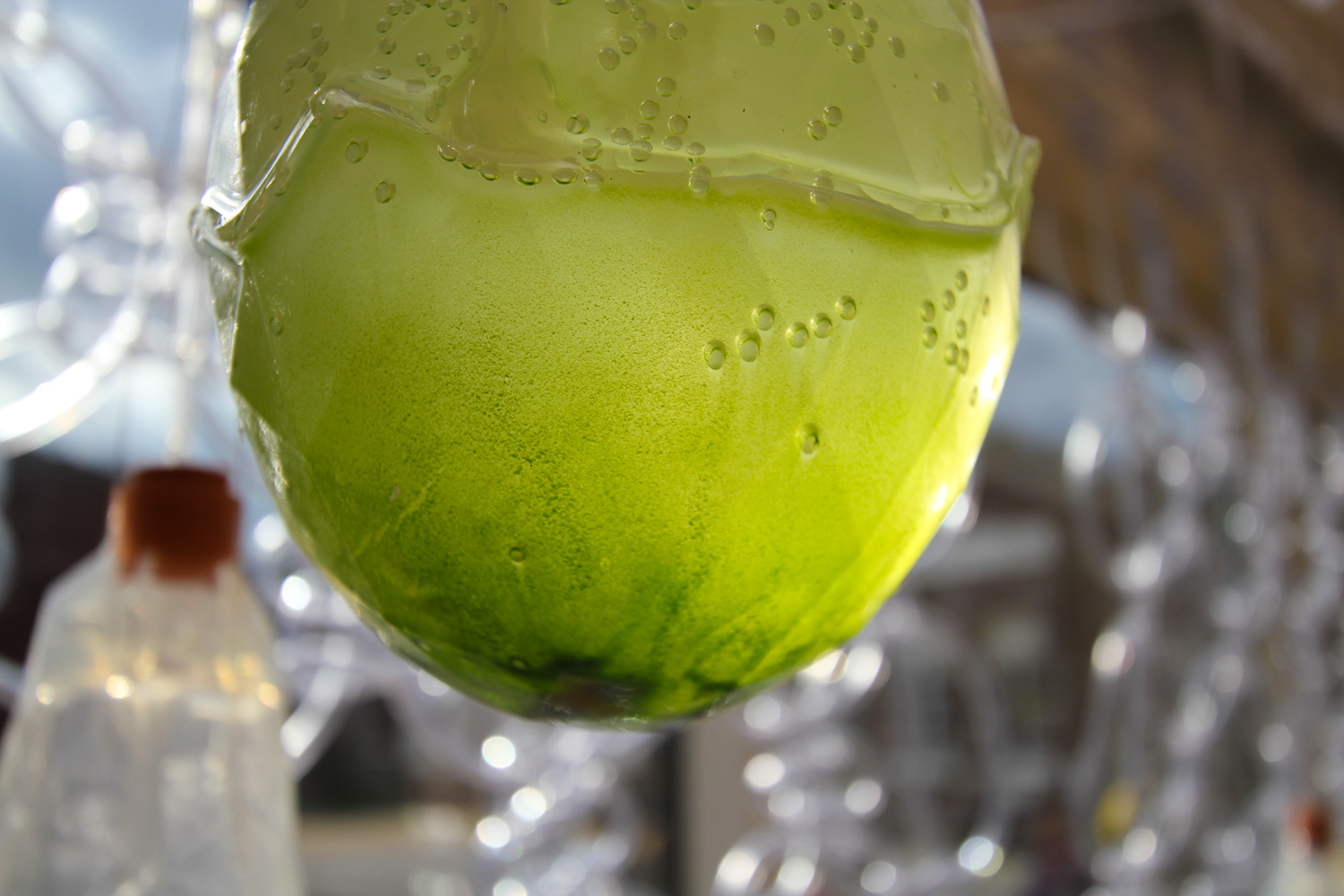 Living algae through a textile photosynthesising to produce bio-fuel
